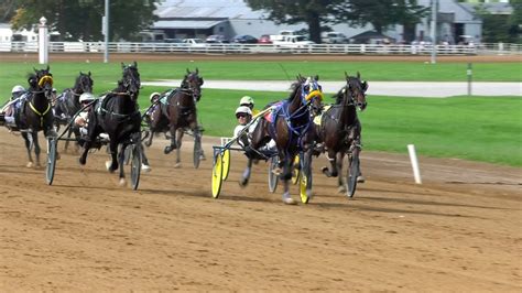 Harness Racing Video Streams.